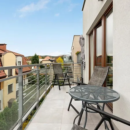 Lion - Parkur 2 * סופוט