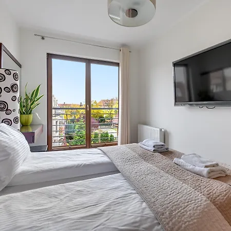 Lion - Parkur 2 * סופוט