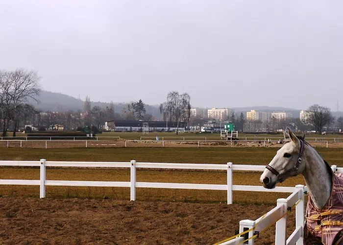 Appartement Lion - Parkur 2 *